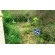 Lắp camera để "lôi" bệnh nhân từ trạm y tế xã về nhà?